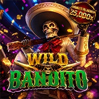 Wild Bandito